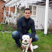 ���������� �����-���������, ���� ������� �����, 43 ����, ������������ ��� ����� � ���������, c�������� ���������