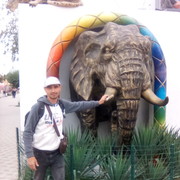 ���������� ������, ���� ������� �����, 37 ���, ������������ ��� ������, ����� � ���������, c�������� ���������