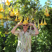 ���������� ������-��-����, ���� ������� ���, 54 ����, ������������ ��� ������