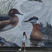 ���������� �����������, ���� ������� Yana, 40 ���, ������������ ��� ������