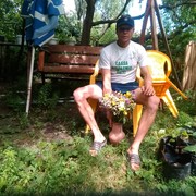  ,   , 53 ,   