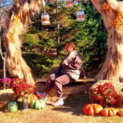 ���������� �����������, ���� ������� �����, 43 ����, ������������ ��� ������, ����� � ���������