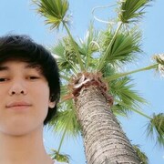 ���������� ����, ���� ����� ��������, 23 ����, ������������ ��� ������, ����� � ���������, c�������� ���������