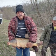  ,   , 66 ,   ,   