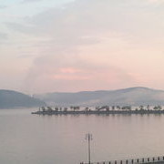 ���������� ��������, ���� ������� ����, 41 ���, ������������ ��� ������, ����� � ���������, c�������� ���������