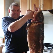 ���������� ������� ��������, ���� ������� ����, 55 ���, ������������ ��� ������, ����� � ���������, c�������� ���������