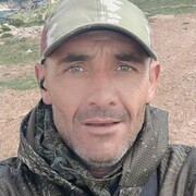  ,   , 43 ,   ,   
