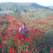  ,   , 50 ,   ,   , c 