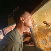 ���������� �����������, ���� ������� ����������, 39 ���, ������������ ��� ����� � ���������, c�������� ���������