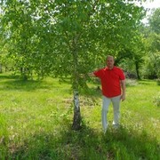  ,   , 54 ,   