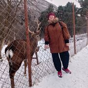 ���������� ���������, ���� ������� �����, 55 ���, ������������ ��� ����� � ���������, c�������� ���������, ���������