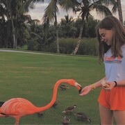 ���������� ������, ���� ������� ��������, 23 ����, ������������ ��� ������, ����� � ���������, c�������� ���������