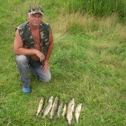 ���������� �����, ���� ������� �����, 62 ����, ������������ 