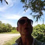 ���������� ����-���������, ���� ������� ��������, 50 ���, ������������ ��� ������, ����� � ���������