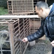 ���������� ������������, ���� ������� ������, 50 ���, ������������ ��� ������, ����� � ���������, c�������� ���������