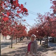 ���������� ������, ���� ������� ����, 52 ����, ������������ ��� ������, ����� � ���������