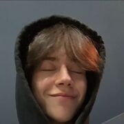 ���������� ���������, ���� ������� ������, 31 ���, ������������ ��� ������, ����� � ���������, ���������