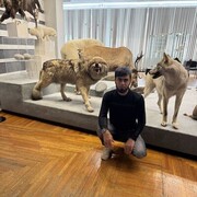 ���������� �����, ������� ��������, 37