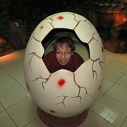 ���������� ����, ���� ������� ����, 54 ����, ������������ 