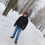 ���������� �������, ������� ����, 43