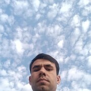  ,  Umed, 31