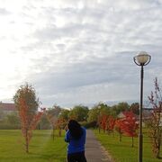 ���������� �������, ���� ������� �������, 41 ���, ������������ ��� ����� � ���������, c�������� ���������