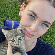 ���������� ���������, �����