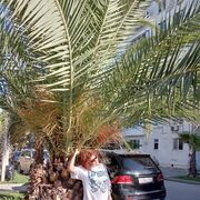  ,   Amina, 68 ,   ,   , c 