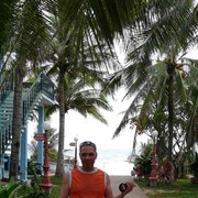  ,   , 55 ,   , 