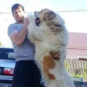  ,   , 45 ,   ,   , c , 