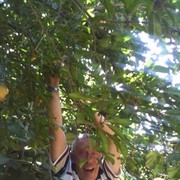  ,   Sharapov58, 66 ,  