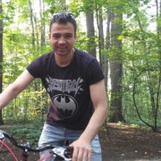  ,   Walbro, 31 ,   ,   