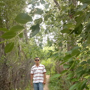  ,   Maksat, 35 ,   ,   , c 