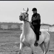 ���������� �����-���������, ���� ������� �����, 36 ���, ������������ ��� ������, ����� � ���������, c�������� ���������