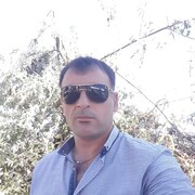 ���������� ��������, ���� ����� Lion, 24 ����, ������������ 