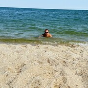 ���������� ������, ���� ������� ������, 41 ���, ������������ ��� ������, ����� � ���������, c�������� ���������, ���������