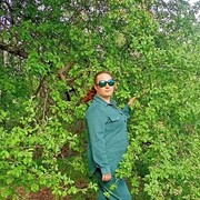  -,   , 41 ,   ,   