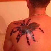  ,   FrEnKy, 35 ,   