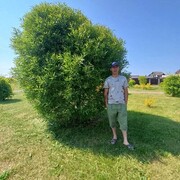 ���������� �����-���������, ���� ������� �������, 38 ���, ������������ ��� ������, ����� � ���������