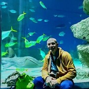  ,    , 50 ,   ,   , c , 
