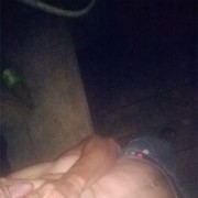  ,   , 34 ,     , c , 