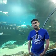 ���������� ������, ���� ������� ������, 41 ���, ������������ ��� ������, ����� � ���������