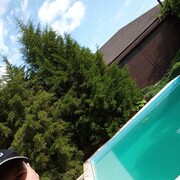 ���������� ���������, ���� ������� ������, 38 ���, ������������ ��� ������, ����� � ���������