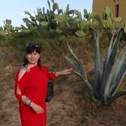  ,    , 48 ,  