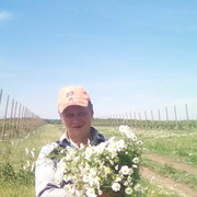  ,   , 53 ,     , c 
