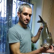 ���������� ��������, ���� ������� �����, 37 ���, ������������ ��� ������, ����� � ���������, c�������� ���������