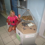 ���������� �����-���������, ���� ������� �����, 51 ���, ������������ ��� ����� � ���������, c�������� ���������