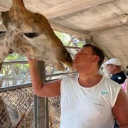 ���������� �������, ���� ������� �����, 53 ����, ������������ ��� ����� � ���������, c�������� ���������