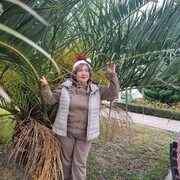 ���������� ������, ���� ������� �����, 62 ����, ������������ ��� ����� � ���������