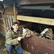 ���������� �����������, ���� ������� �����, 42 ����, ������������ ��� ������, ����� � ���������, c�������� ���������